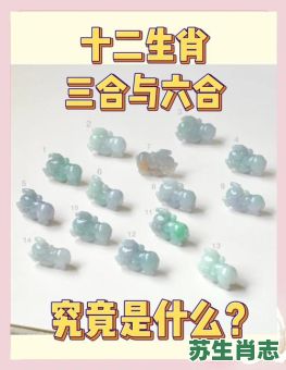 4合生肖是什么？4合生肖哪四个正确