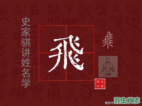 飞字是什么生肖？飞准确打一数字