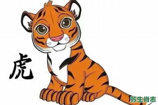 土木生肖头是什么？土木生肖头有哪几个