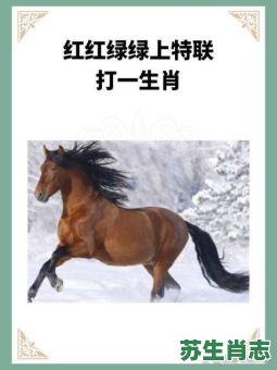 瞎子指的是什么生肖？瞎子是指哪个动物