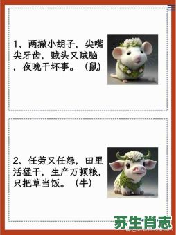 脑全无是什么生肖？不谙世事打一精准生肖