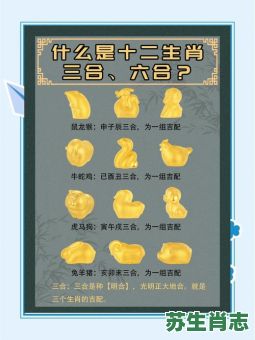 东西肖是什么生肖？好东西打一最佳生肖