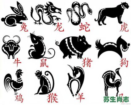 体型长是什么生肖?最长的生肖是哪一肖 体型长是什么生肖?最长的生肖是哪一肖