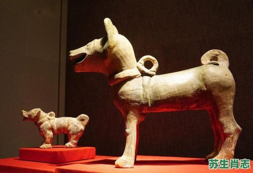 宰相指的是什么生肖？宰相的正确答案