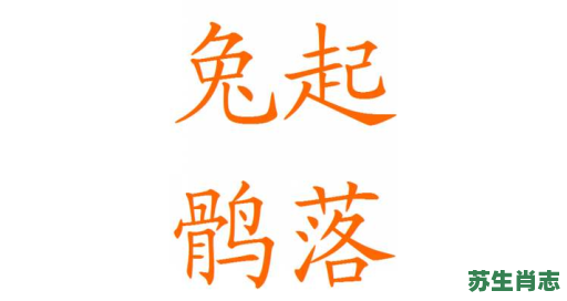 兔走鹘落指的是什么生肖？鹘是什么动物