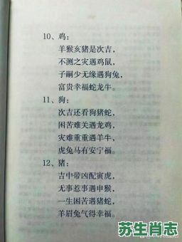 言有尽而意无穷是什么生肖？大而无当是什么生肖