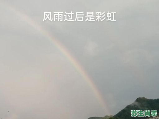 雨后彩虹是什么生肖？彩虹打一最准确生肖