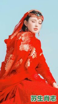 东宫代表是什么生肖？东宫打一个正确生肖