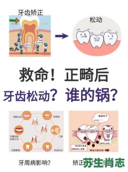 牙齿整齐是什么生肖?牙齿松动怎么办 牙齿整齐是什么生肖?牙齿松动怎么办