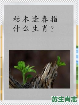 心事自知 是什么生肖？枯木逢春是什么生肖