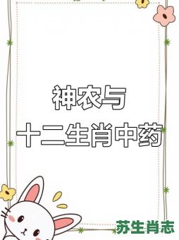 中药取是什么生肖？十二生肖谁是中药
