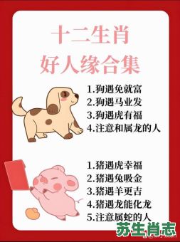 贼肖是什么生肖？贼肖是哪几肖正确答案