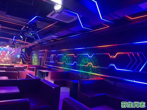 相约酒吧是什么生肖？酒吧解一生肖