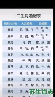 一九年是什么生肖？一九九七年属什么生肖