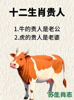 横竖成形是什么生肖?横竖成形指哪一生肖 横竖成形是什么生肖?横竖成形指哪一生肖