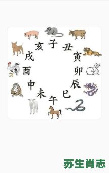 田肖是什么生肖？田肖代表哪六个生肖