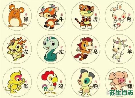 不搭理是什么生肖？懒是什么生肖?