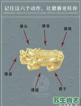 头尾相连是什么生肖？首尾贯通最正确的生肖