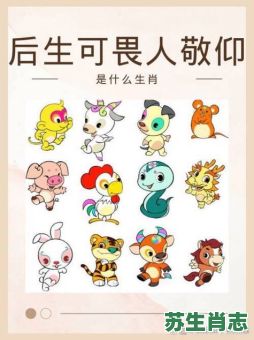 反面粘是什么生肖？反指什么生肖