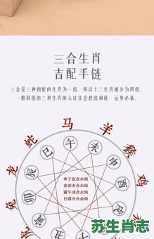 八合是什么生肖？合八打一最准确生肖