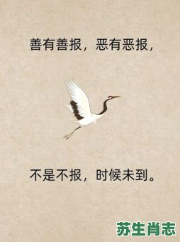 善恶到头是什么生肖？善恶有报最准确生肖