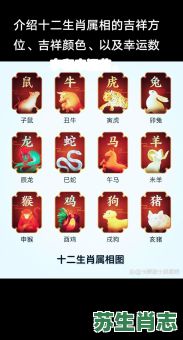 8号生肖是什么？8号数字什么生肖