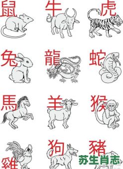 善肖是什么生肖？十二生肖善良的动物