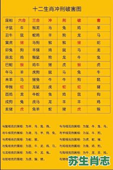 武肖是什么生肖？十二生肖中武肖是哪几肖