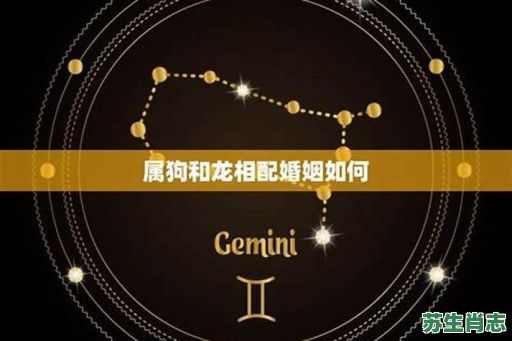 29岁是什么生肖？29岁属啥的正确答案