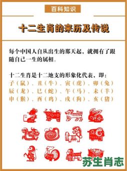 十一是什么生肖？十一代表的正确生肖