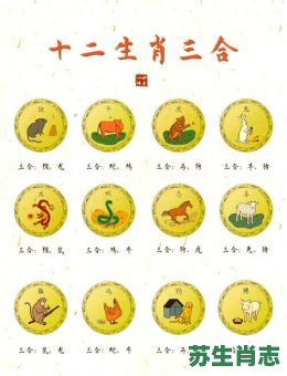 有板有眼是什么生肖？板板正正的三大生肖