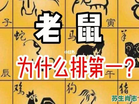 老肖是什么生肖？生肖中老大是哪一肖