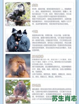 猴子相冲生肖是什么?猴子的天敌是谁 猴子相冲生肖是什么?猴子的天敌是谁