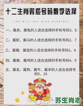 中间数是什么生肖？十二生肖谁最中间