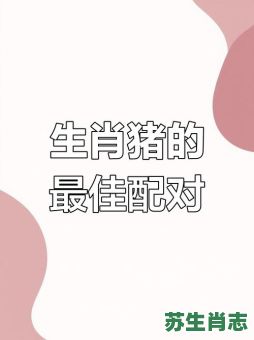 不理你是什么生肖？属猪男不搭理你的原因