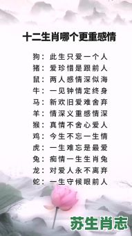 胸怀宽广是什么生肖？十二生肖谁最心胸宽广