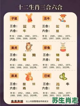 33岁是什么生肖？33岁是属什么的