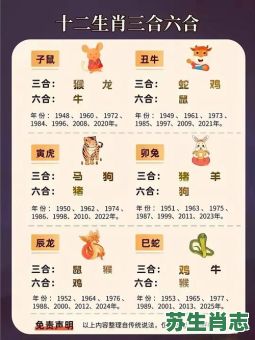 白天生肖是什么？白天和晚上的生肖是什么