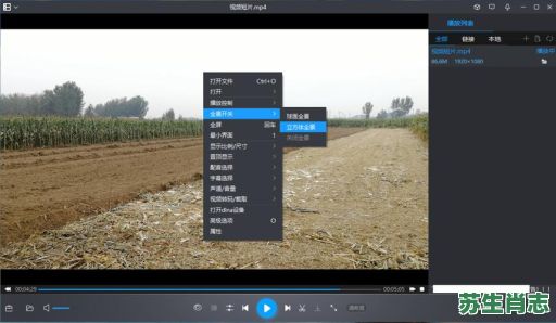 暴风影音是什么生肖？暴风影音是干嘛的