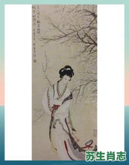 梅花美女是什么生肖？梅花在玄学里象征什么