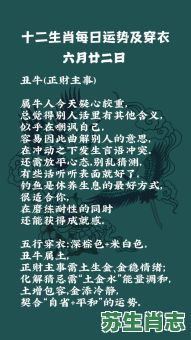 道士指的是什么生肖？道士打一准确生肖