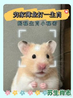 做事尽心是什么生肖？尽职尽责的生肖