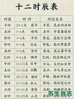 卯时上下是什么生肖？十二时辰对照十二生肖表