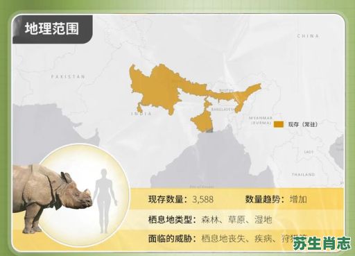 是犀牛是什么生肖？犀牛代表什么生肖