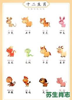 10岁生肖是什么？12岁生肖是什么