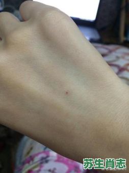 钻针眼是什么生肖？麻线穿针眼指什么生肖