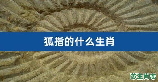 孤狸是什么生肖？狐狸暗示什么生肖