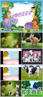 花花外衣是什么生肖？花花外衣代表什么动物