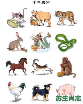 珍贵动物是什么生肖？珍贵的动物打一最佳生肖