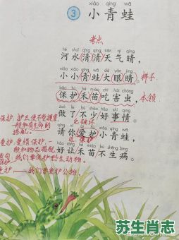 春蛙秋蝉是什么生肖？春蛙秋蝉打一动物